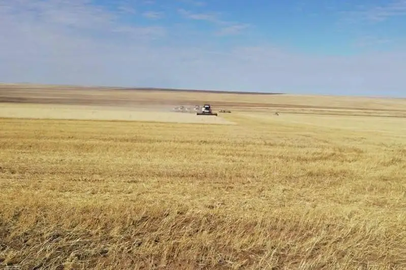 Центр для развития кормопроизводства создали в Карагандинской области