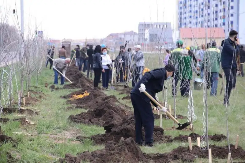 Около 33 тысяч деревьев планируют высадить в этом году в Караганде