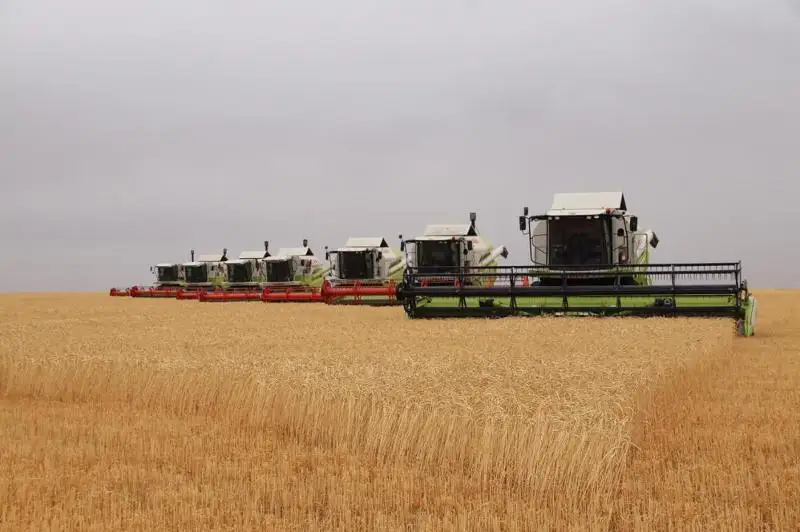 Современный элеватор на 25 тысяч тонн зерна построили в Осакаровке