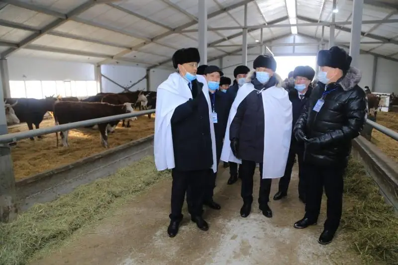 30-летие Независимости РК: в Аркалыке запущены три крупных проекта