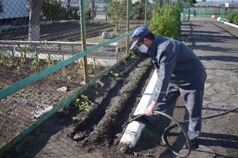 Овощи и ягоды выращивают осужденные в Акмолинской области