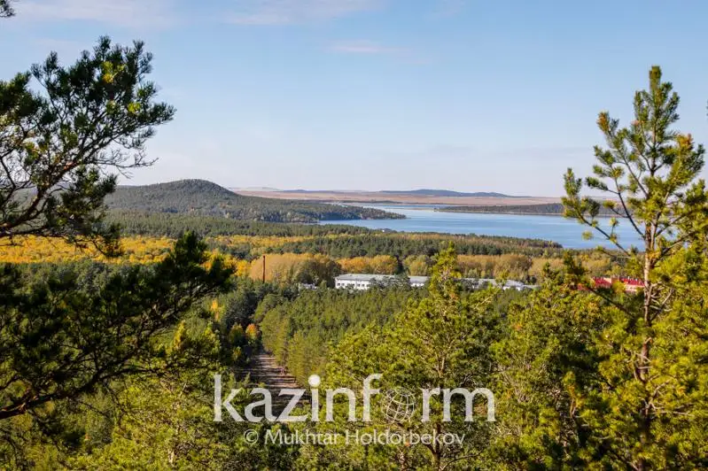 Мы должны показать себя всему миру как нация, которая бережно относится к природе – Президент РК