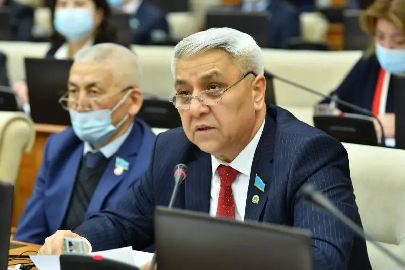 Parlamentte qabyldanyp jatqan zań jobalary halyqqa túsinikti tilde jetpeı otyr - Májilis depýtaty