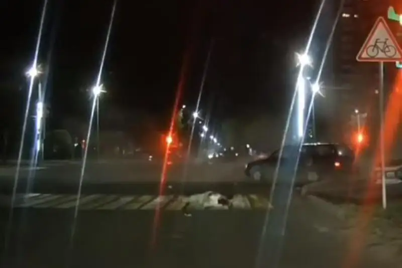 Женщина вылетела из авто при ДТП в Павлодаре