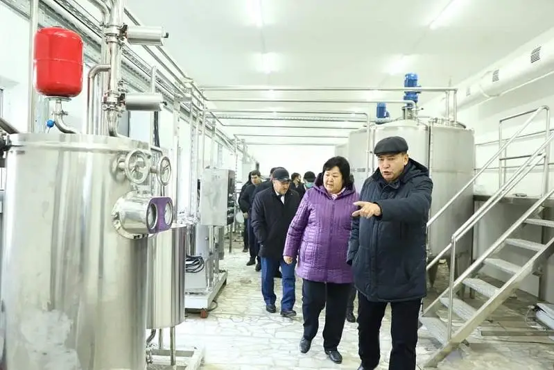 В Арыси откроется цех по переработке верблюжьего молока