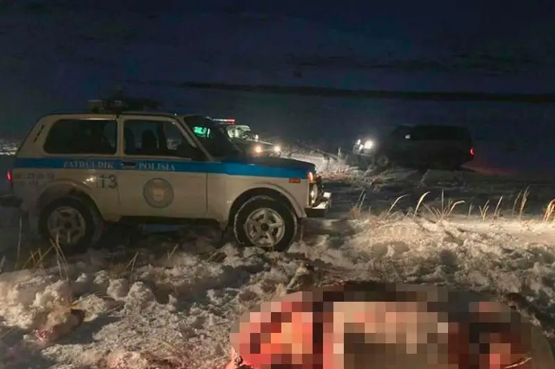 Лошадь стоимостью семь тысяч долларов застрелил скотокрад в ВКО