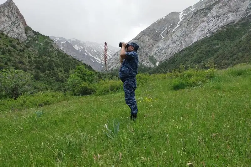 Три тысячи метров над уровнем моря: как проходят поиски пропавших в горах Туркестанской области