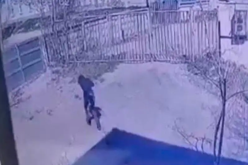 Pavlodarda áskerı komıssarıattan qashqan áskerge shaqyrylǵan azamat izdestirilýde