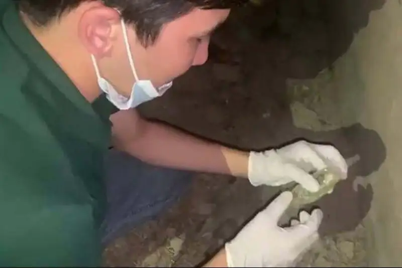 Shymkentte esirtki zattaryn taratýmen aınalysqan 5 kúdikti ustaldy