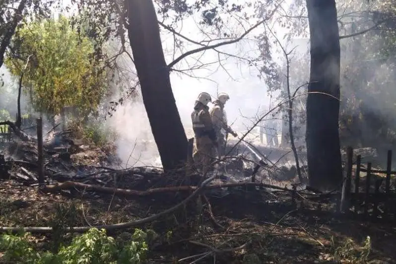 27 случаев возгорания сухой травы зафиксировано в Алматинской области