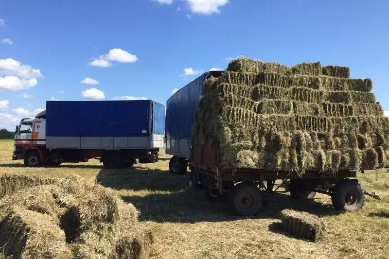 Сено отправили туркестанцы пострадавшим от засухи хозяйствам в Мангыстау