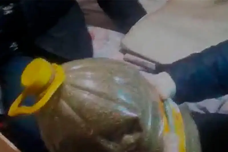 Крупную партию наркотиков задержали жамбылские полицейские