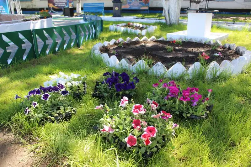 Аллея надежды появилась в колонии Павлодара