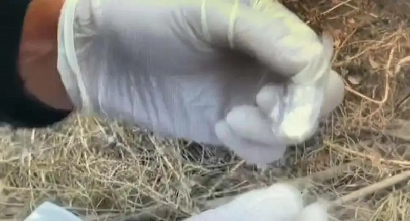 Наркосбытчика и закладчиков «синтетики» задержали в ЗКО