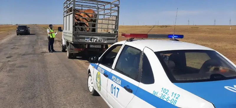 Aqtóbede 4 birdeı mas júrgizýshi ustalyp, kóligi aıyp turaǵyna qoıyldy