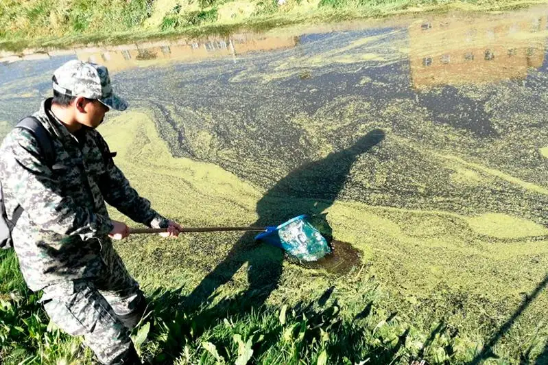 Очистка реки Есиль и ее притоков продолжается в столице