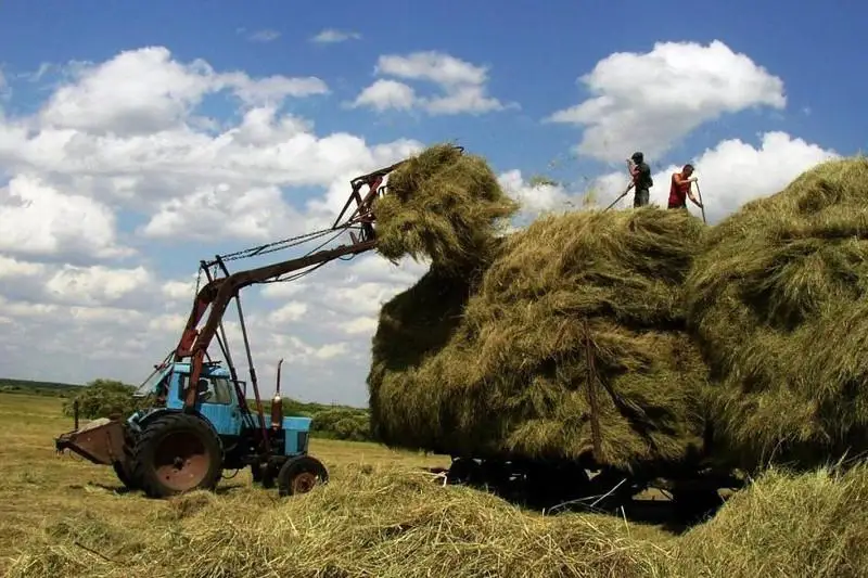 Карагандинские фермеры получат субсидии на удешевление стоимости кормов
