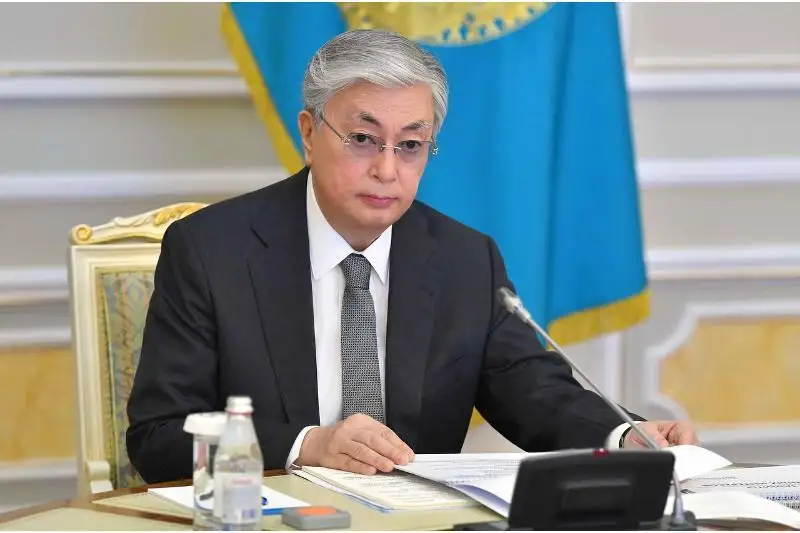 Президент РК: Спешить со строительством атомных станций не будем, но и опаздывать не следует