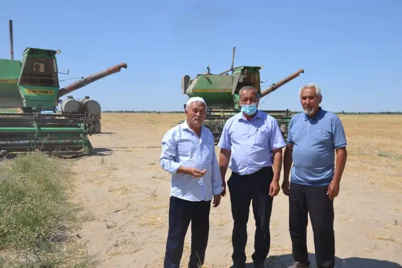 Жатва началась в Жамбылской области