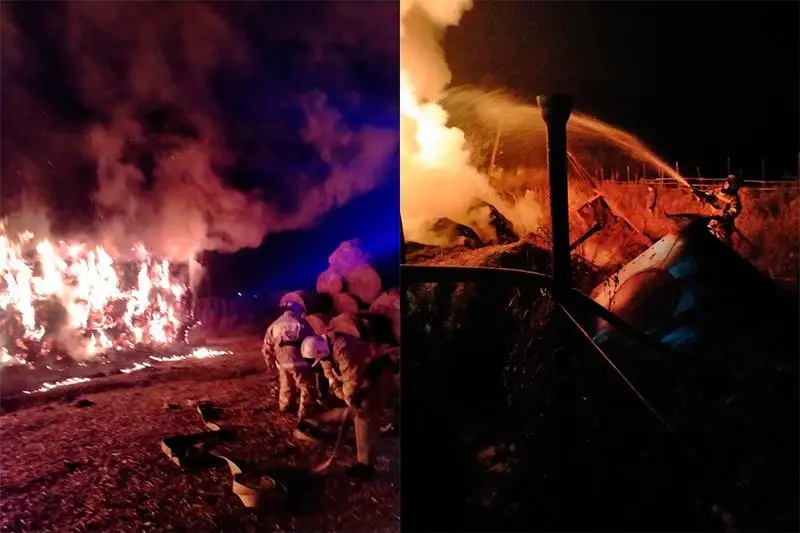 ShQO-da fermerdiń 70 tonnadan astam shóbi janyp ketti