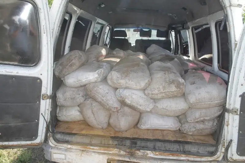 55 мешков рачка артемия салина обнаружили у сельчанина в Павлодарской области