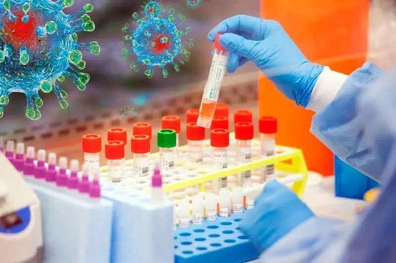 Какие штаммы коронавируса циркулируют в Нур-Султане