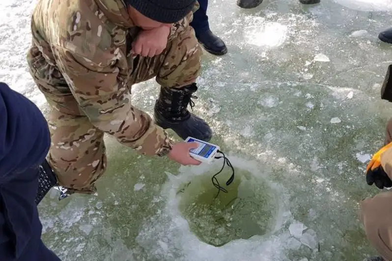 Возможную причину гибели рыбы в Кызылординской области назвал Комитет рыбного хозяйства