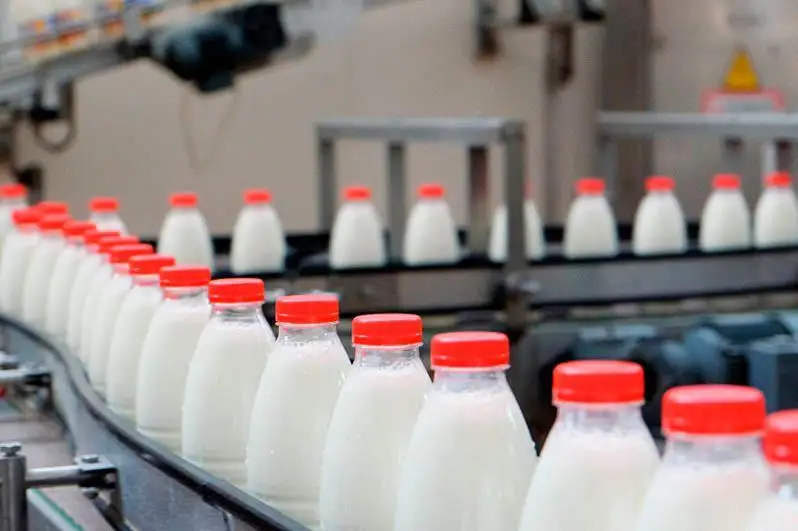 Важно далее расширять географию поставок нашей пищевой продукции - Касым-Жомарт Токаев