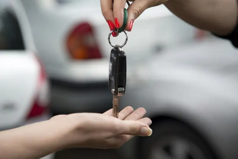 Более 100 авто могли завезти из РФ с поддельными документами