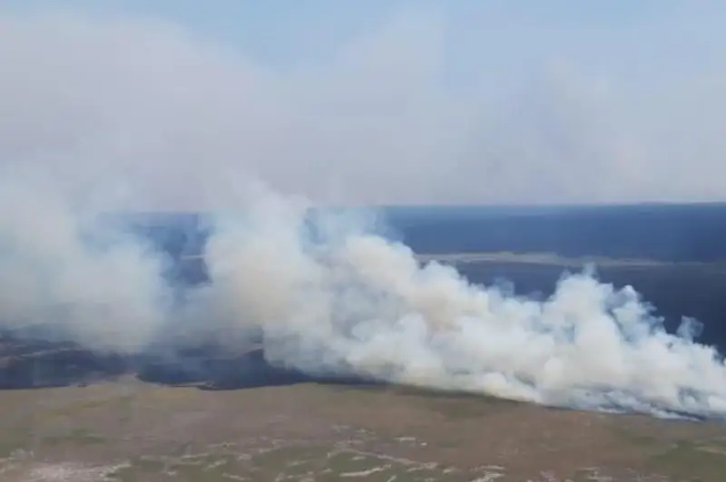 Пятый класс пожарной опасности объявлен в районе Биржан сал Акмолинской области