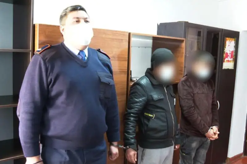 Кентауда мал ұрлығымен айналысқан қылмыстық топ ұсталды