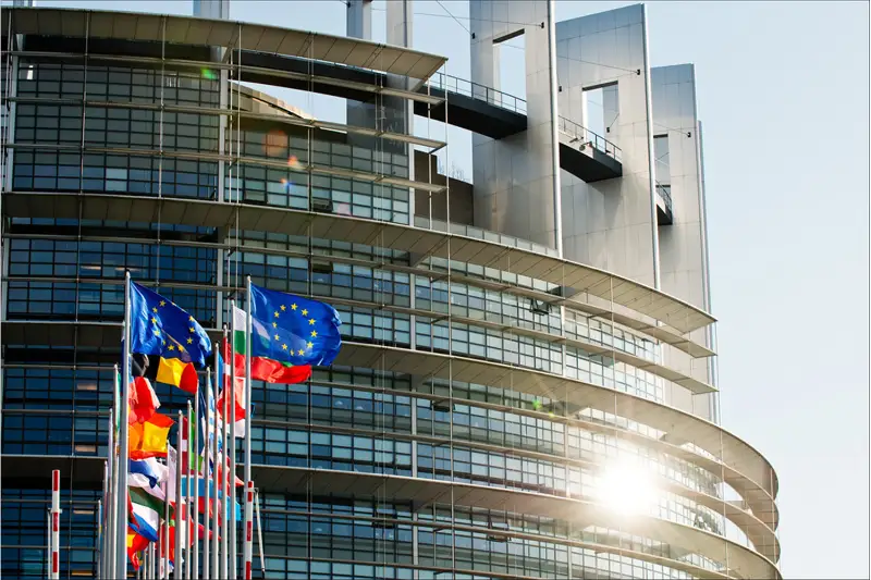 Eýroparlament depýtattary aýǵan áıelderiniń quqyǵyn qorǵaýǵa shaqyrdy
