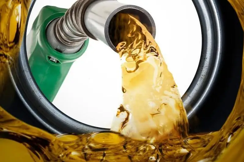 Незаконный вывоз дизтоплива и бензина пресекли пограничники в Жамбылской области