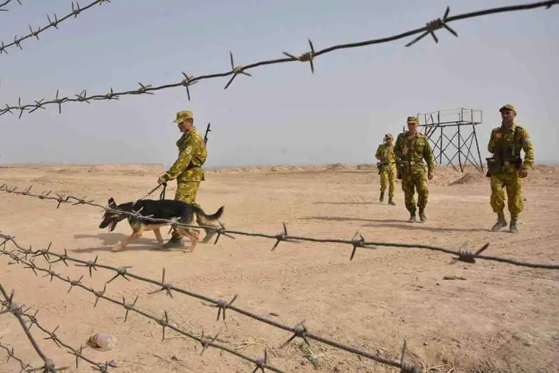 Более 40 афганских военнослужащих нарушили госграницу Узбекистана – МИД