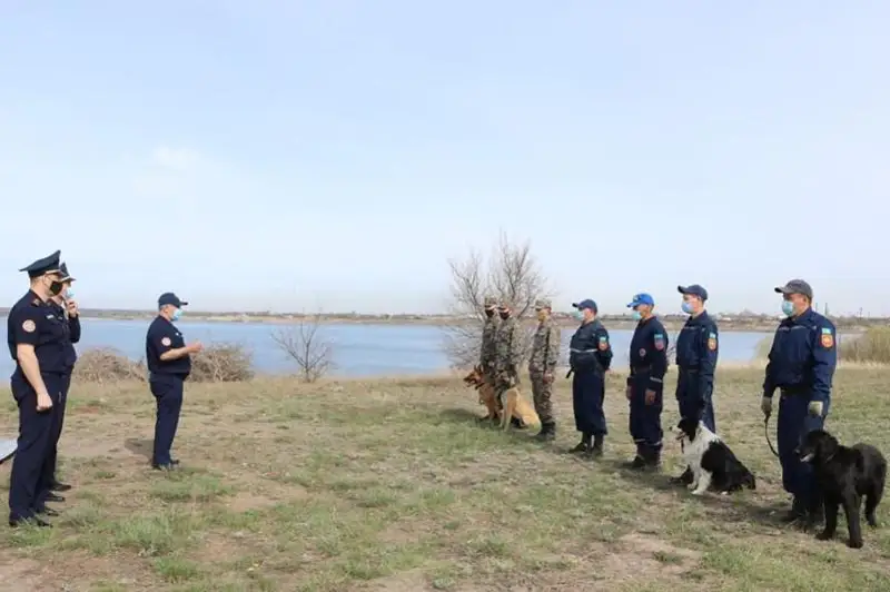 Карагандинские собаки-спасатели подтвердили свою профпригодность