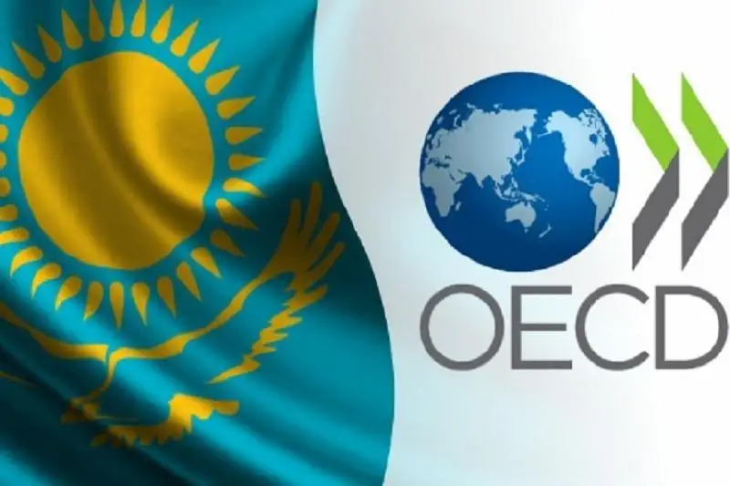 Казахстан и ОЭСР обсудили вопросы стимулирования инвестиций в период пандемии