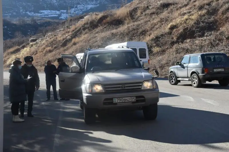 Как охраняют елки от сруба в Иле-Алатауском национальном парке