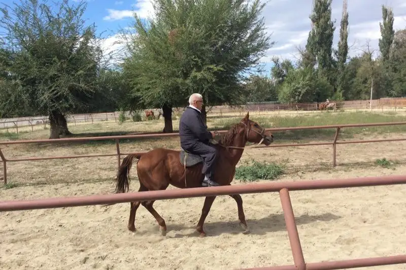 В Таразе появится центр иппотерапии