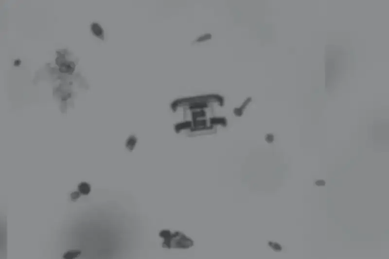 Фейк: На видео показаны нанороботы в вакцине