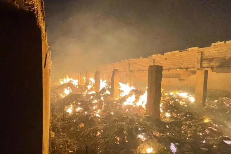 Более тысячи овец погибло при пожаре в Туркестанской области