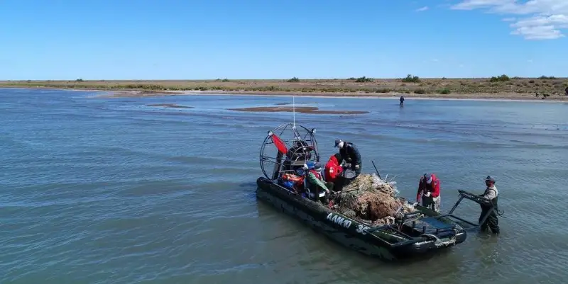 Более трёх тонн брошенных сетей собрано в Каспии