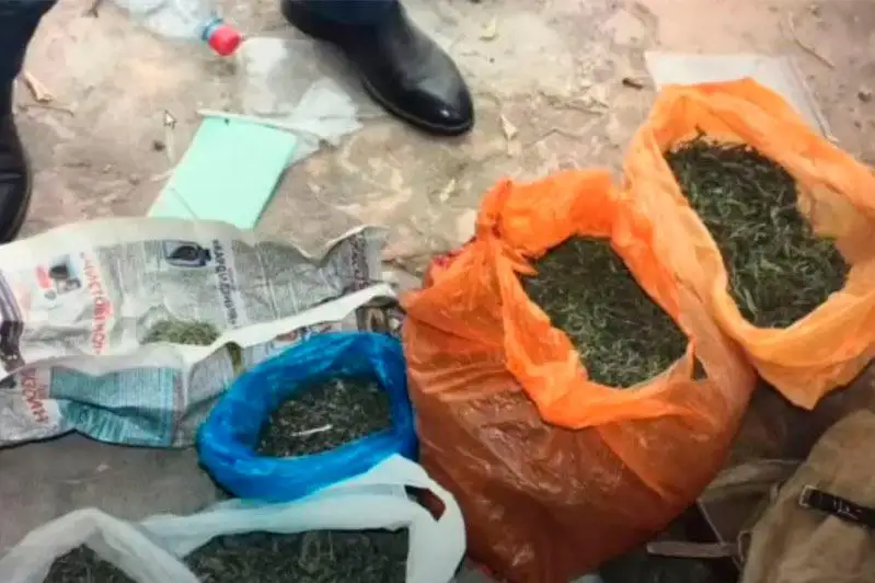 Четыре килограмма марихуаны изъяли из дома жителя Кызылорды