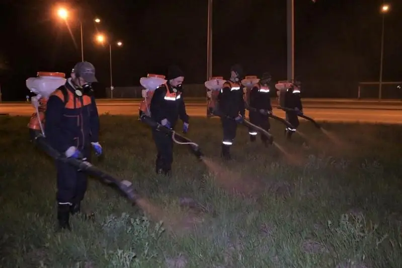 В столице продолжается обработка территорий для снижения численности комаров и мошек