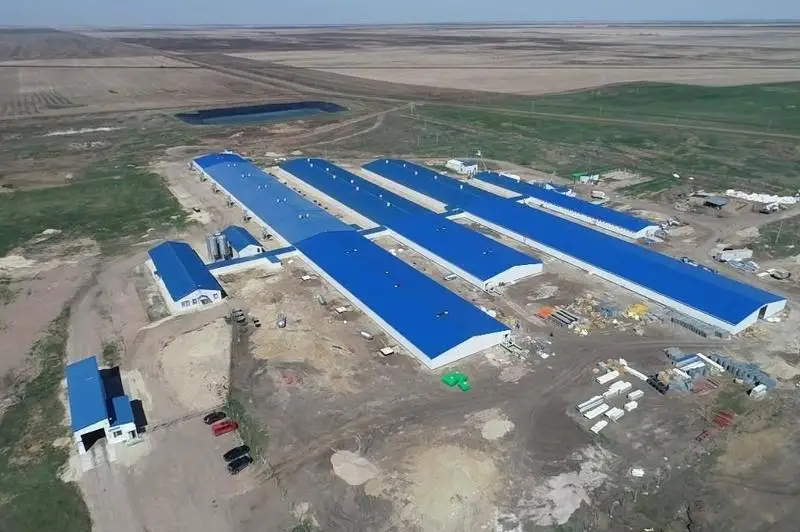 Свинокомплекс стоимостью пять миллиардов тенге строят в СКО