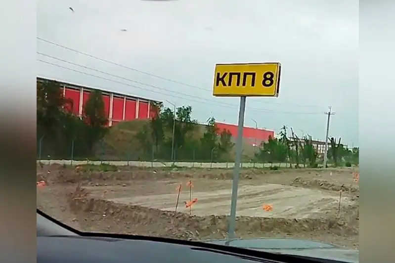 Более сотни деревьев вырубили под Алматы