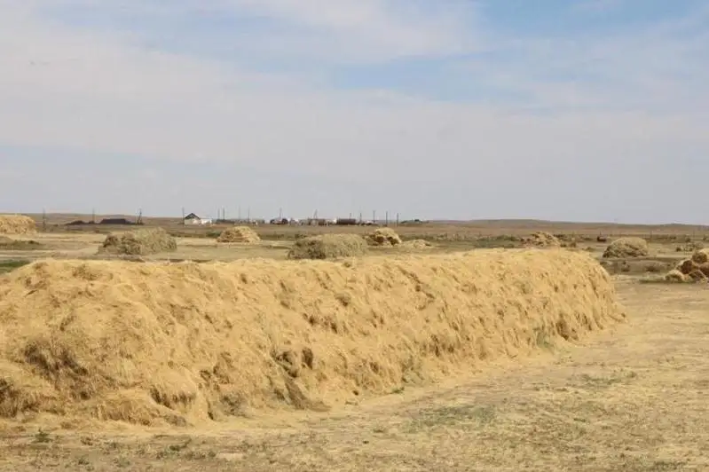 Как решается вопрос дефицита пастбищ в Карагандинской области