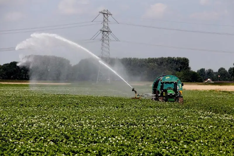 Каким будет поливной сезон в этом году – прогноз Минэкологии РК