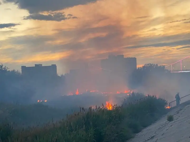Горят камыши и кустарники на реке Урал в Атырау