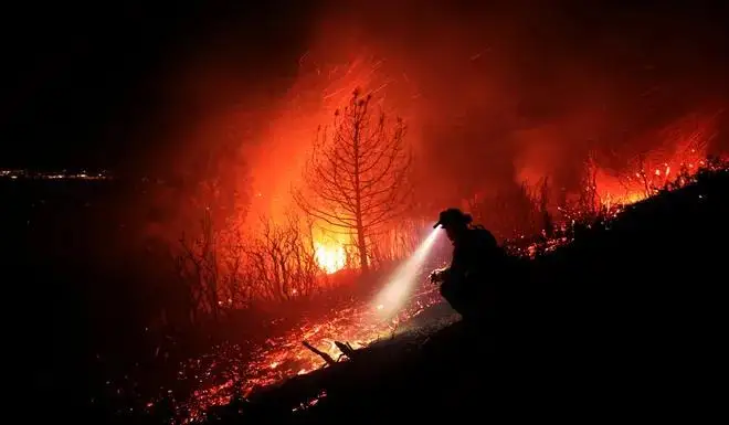 Причиной масштабных лесных пожаров в Калифорнии стало сжигание свай в одном из домовладений