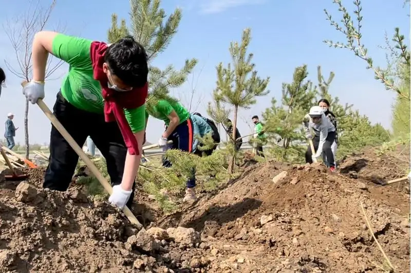 Посвященную Дню Победы акцию «Сад памяти» провели в Нур-Султане